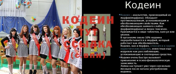 дурь Няндома