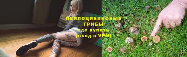 кокс Алексин