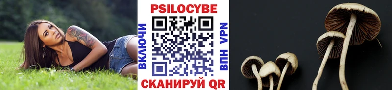 Псилоцибиновые грибы Psilocybe  Спас-Клепики 